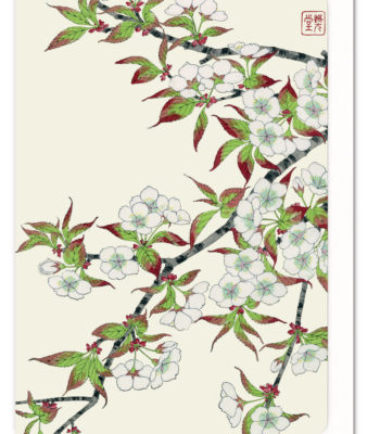 Cherry Blossoms 3 Ezen greeting card 5060378040331 FLW_12