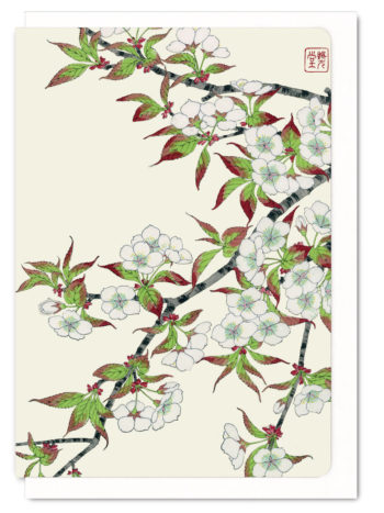 Cherry Blossoms 3 Ezen greeting card 5060378040331 FLW_12