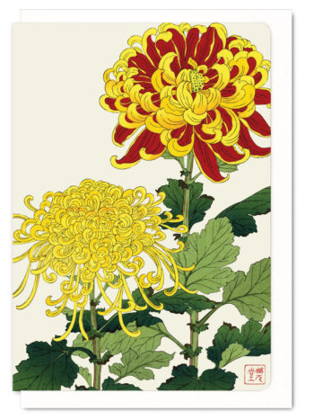 Chrysanthemum Ezen greeting card 5060378040409 FLW_19