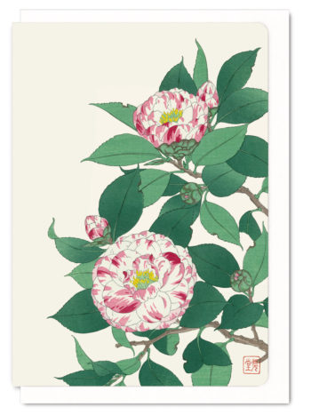 pink-camellia-ezen-greeting-card-5060378046500-flw_42