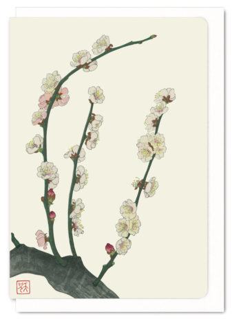 plum-blossom-ezen-greeting-card-5060378040225-flw_1