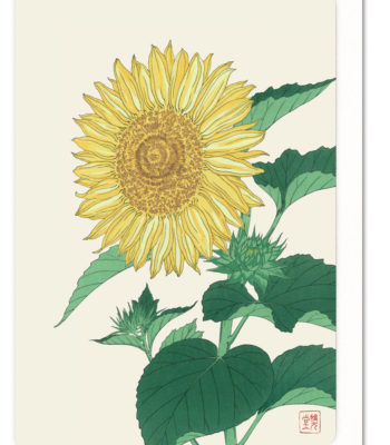 sunflower-5060378046531-flw_45